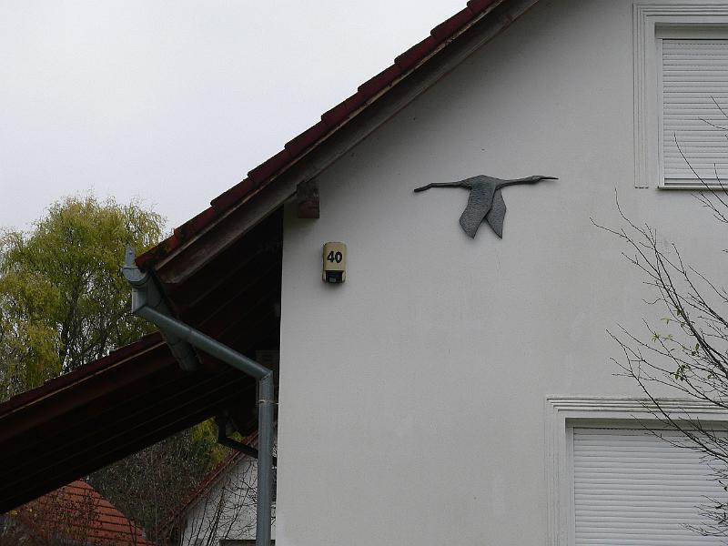 P1070817.JPG