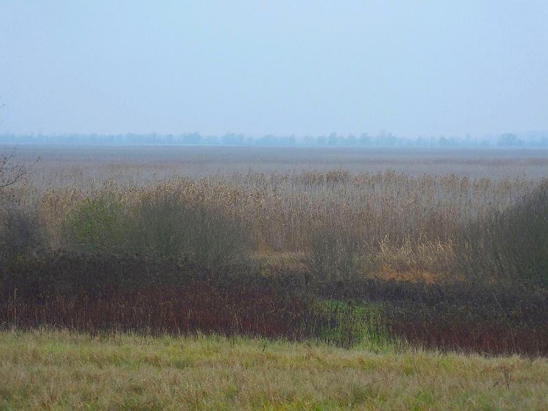 DSCF3014.JPG