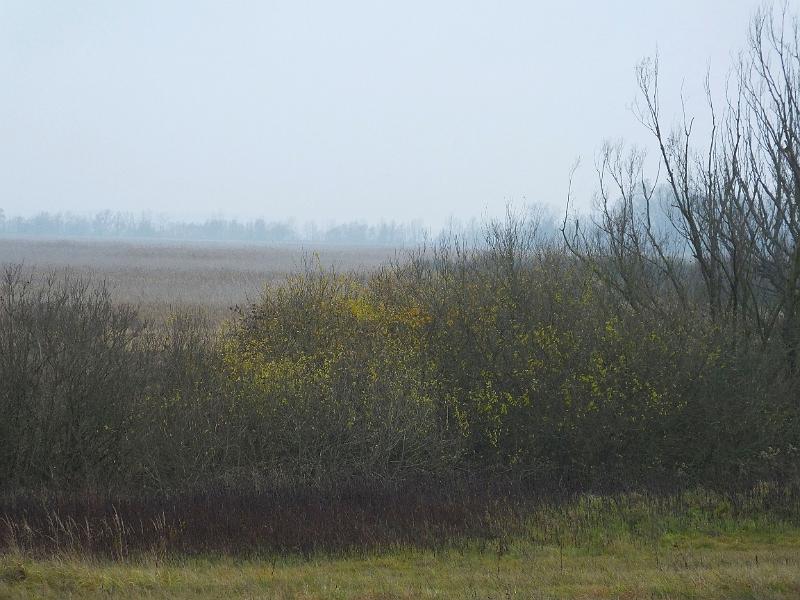 DSCF3015.JPG