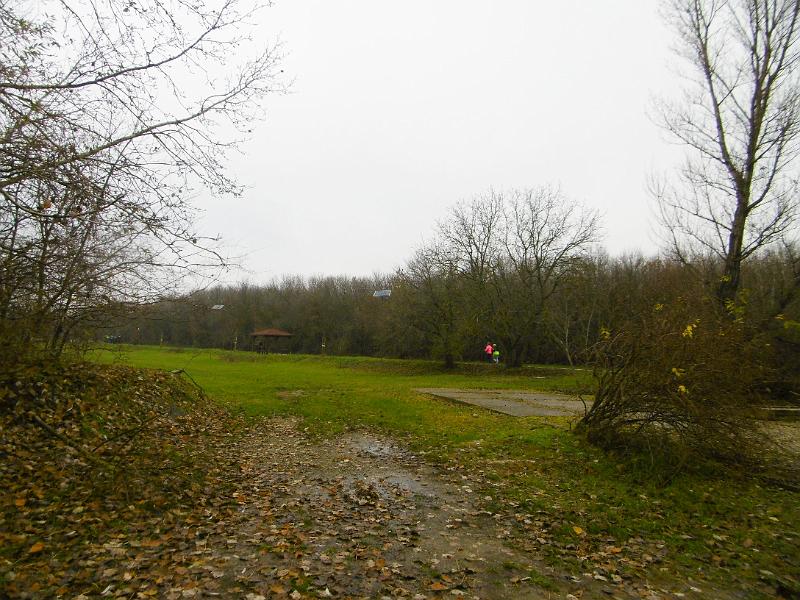 P3340736.JPG