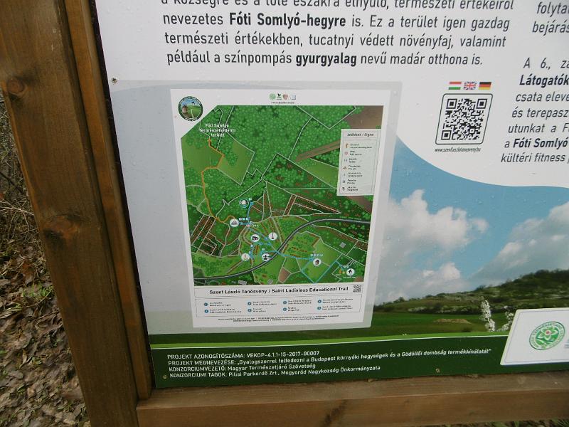 P3340762.JPG