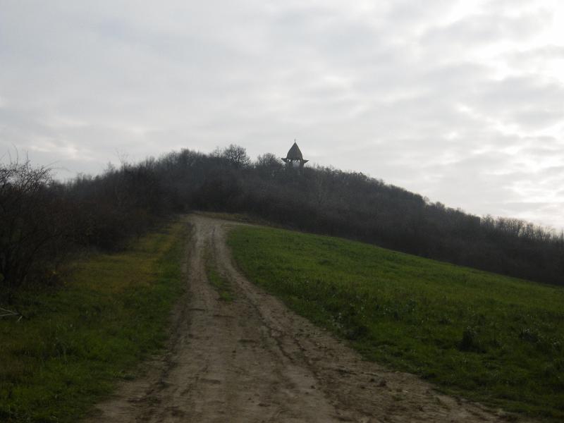 P3340763.JPG