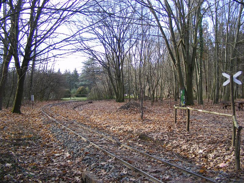 DSCF0009.JPG