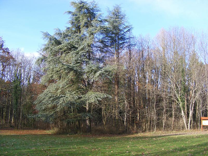 DSCF0012.JPG