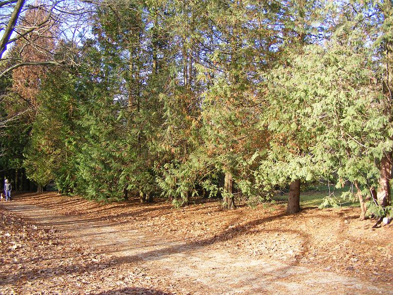 DSCF0013.JPG