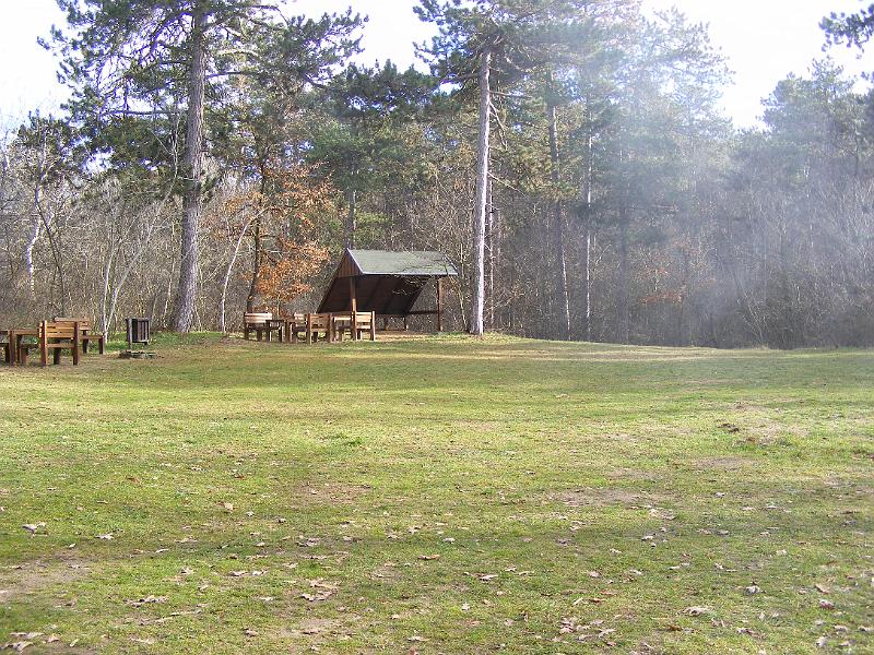 DSCF0033.JPG