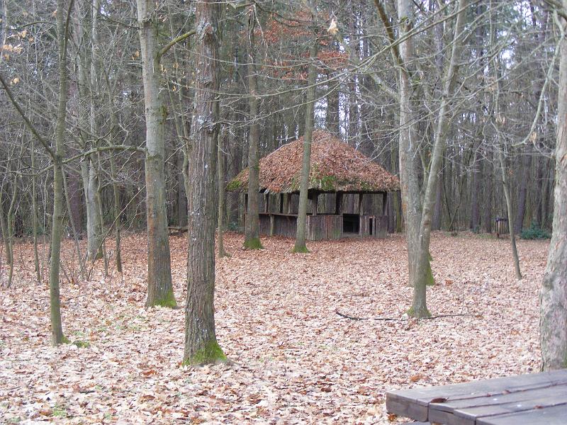 DSCF0036.JPG