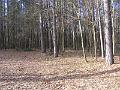 DSCF0007