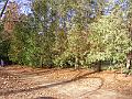 DSCF0013