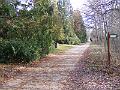 DSCF0014