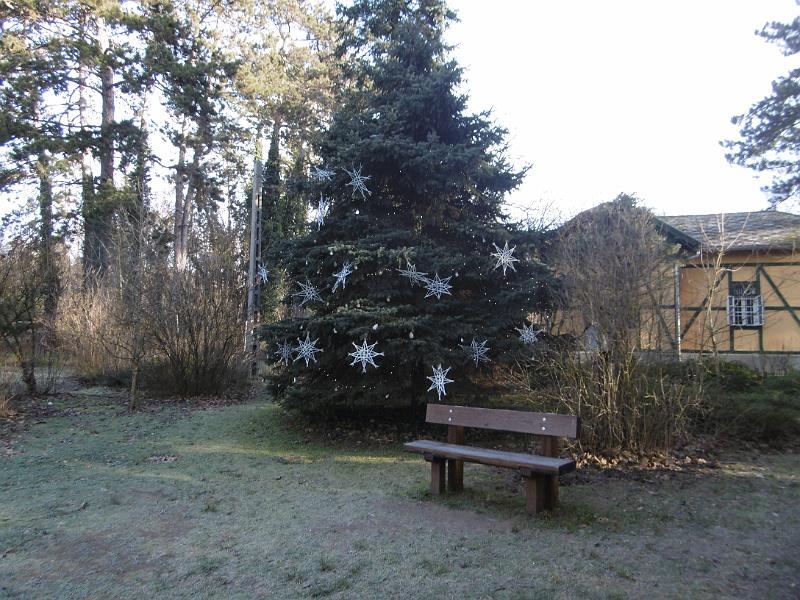 P3340823.JPG