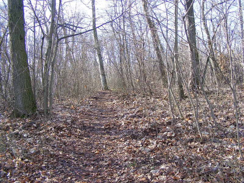 DSCF0047.JPG