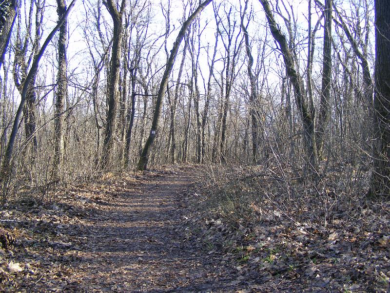DSCF0049.JPG