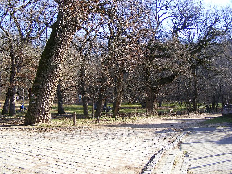 DSCF0052.JPG