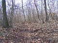 DSCF0047