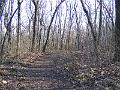 DSCF0049