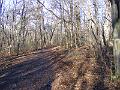 DSCF0050