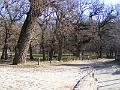 DSCF0052