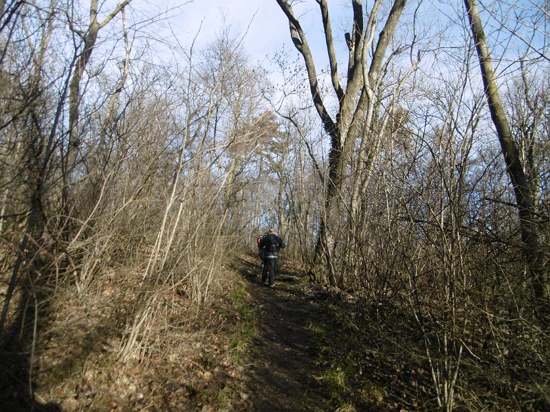 P3340864.JPG