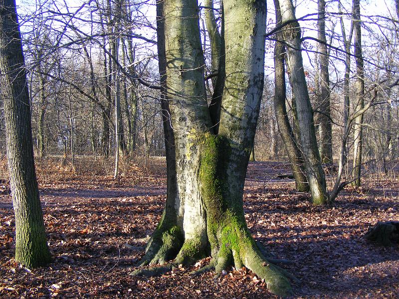 DSCF0056.JPG