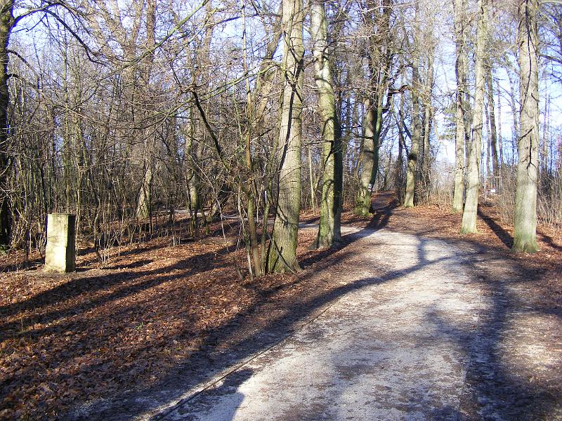 DSCF0061.JPG