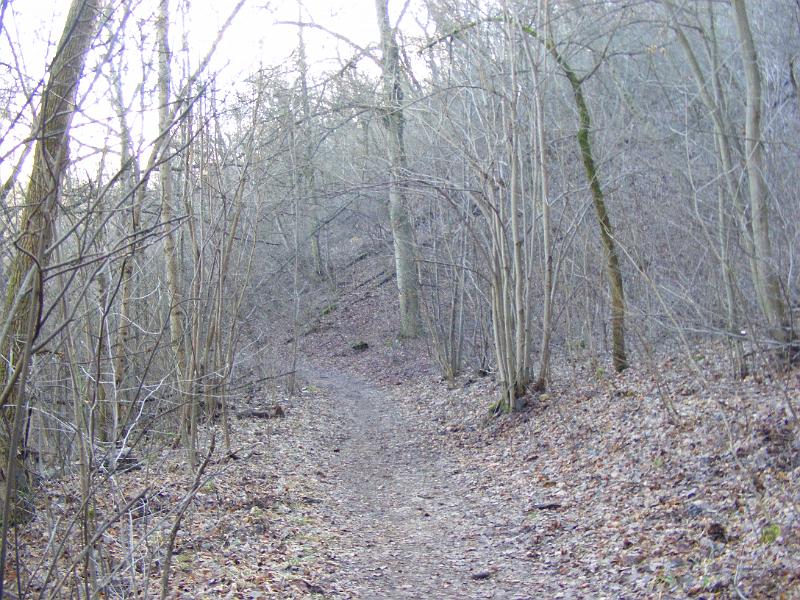 DSCF0079.JPG