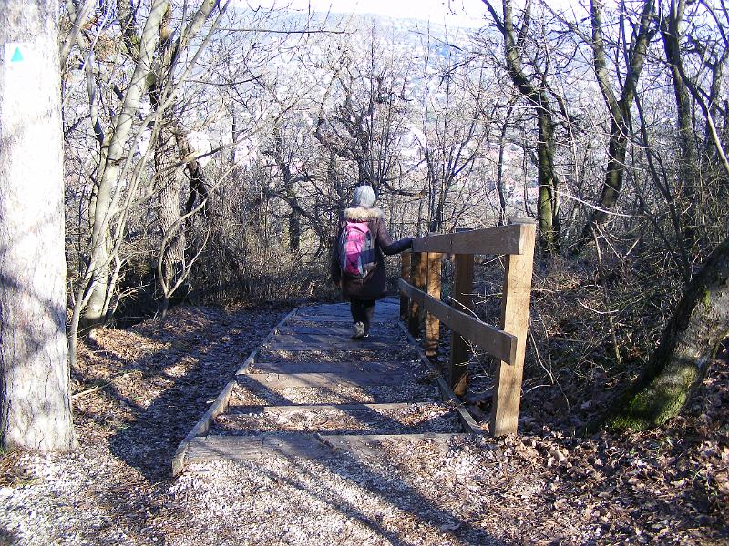 DSCF0082.JPG