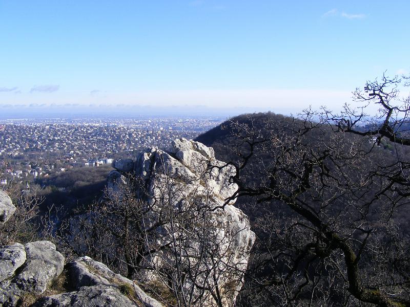 DSCF0084.JPG