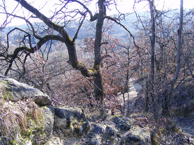 DSCF0087.JPG
