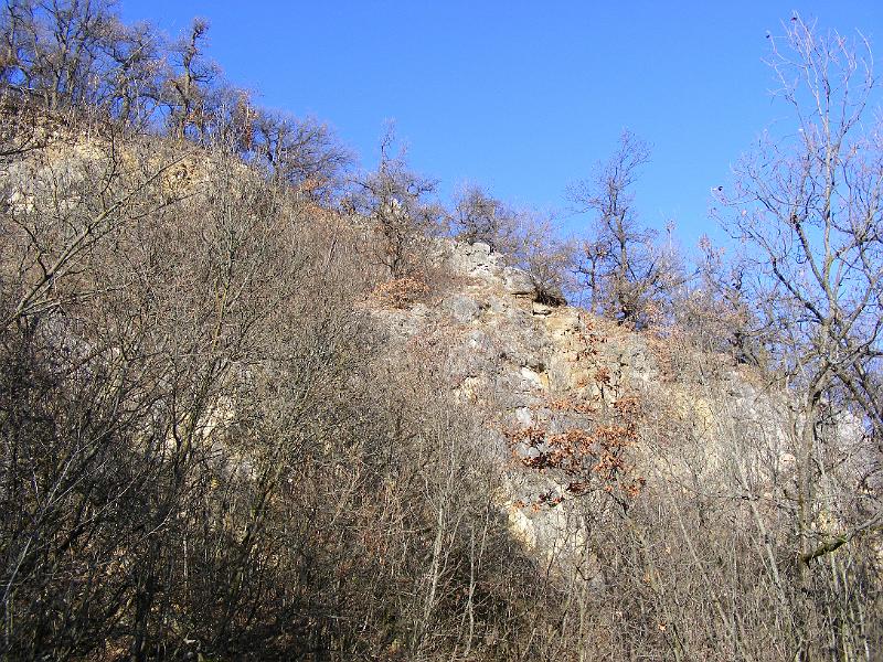 DSCF0090.JPG