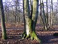DSCF0056