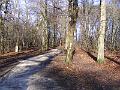 DSCF0060