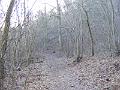 DSCF0079