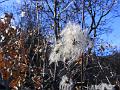 DSCF0085
