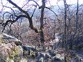 DSCF0087