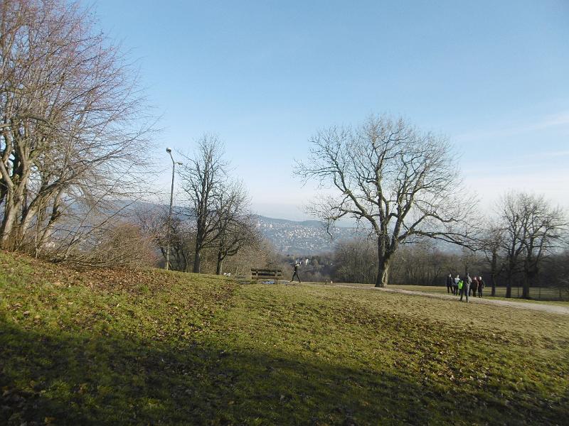 P3340876.jpg