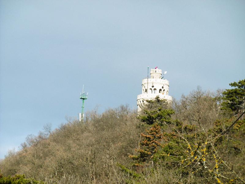 P3340884.jpg