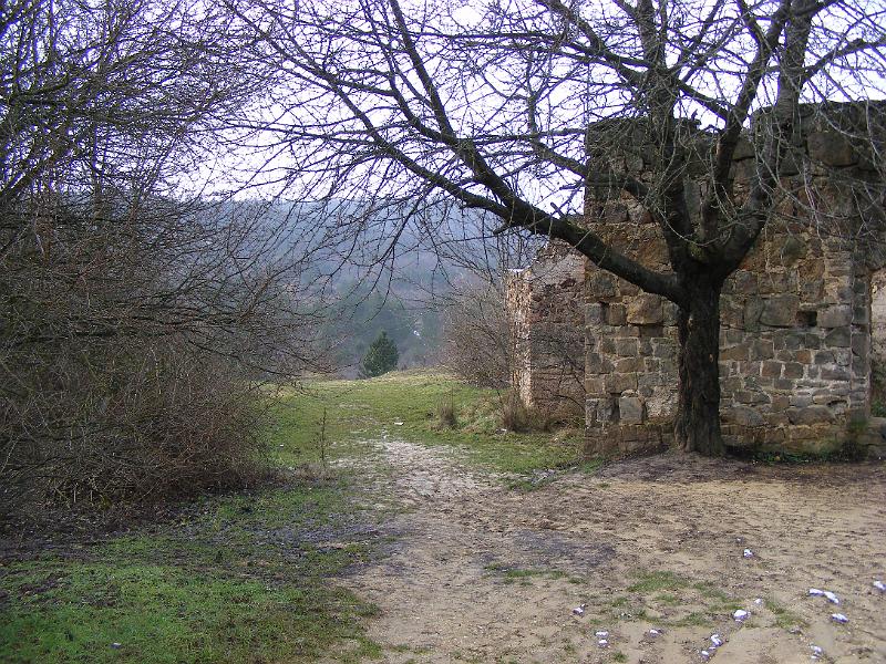 DSCF0102.JPG