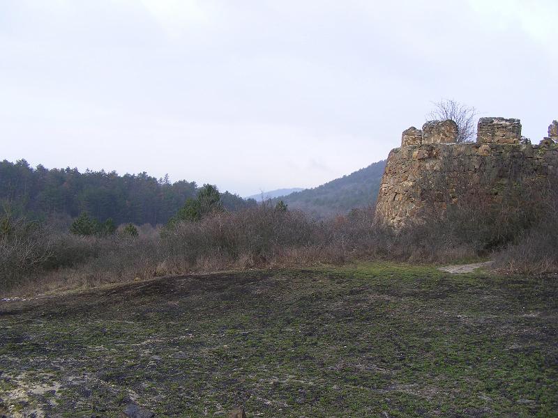 DSCF0115.JPG