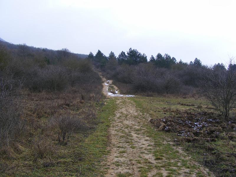 DSCF0125.JPG
