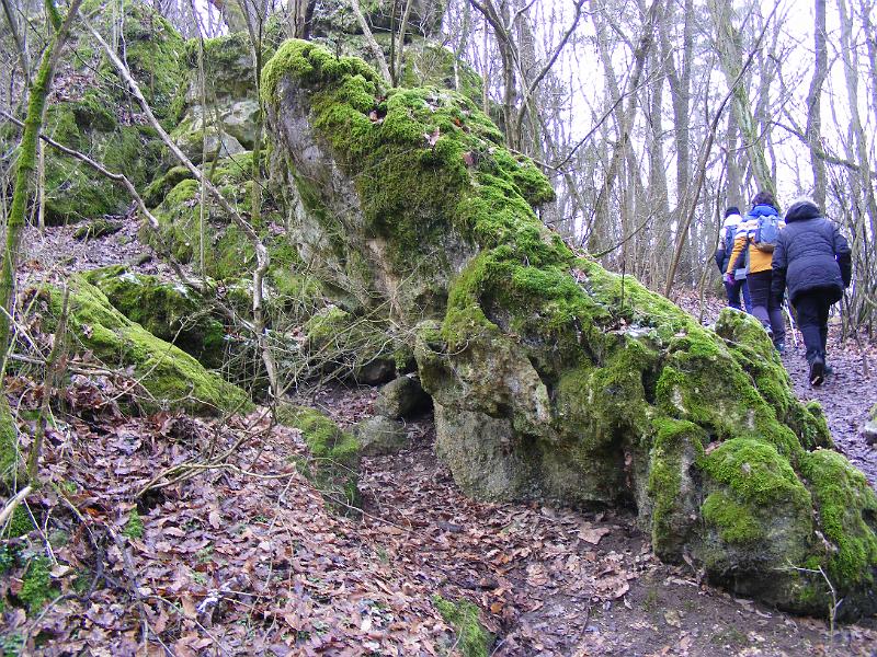 DSCF0126.JPG