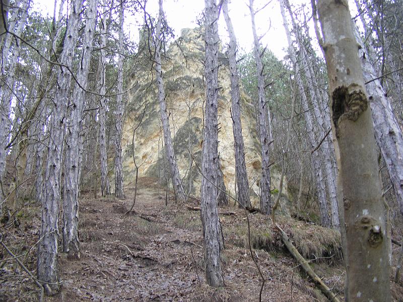 DSCF0135.JPG
