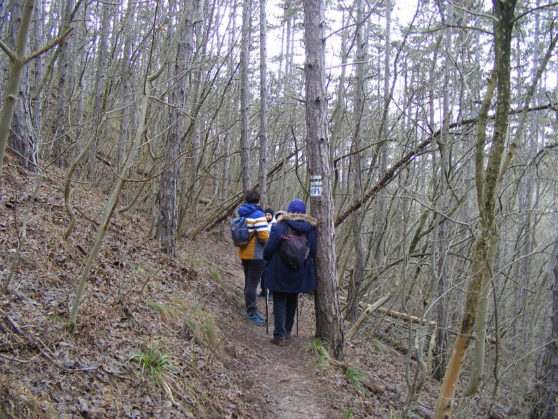 DSCF0136.JPG