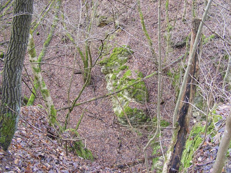 DSCF0138.JPG