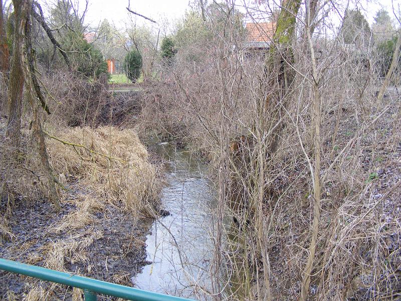 DSCF0141.JPG