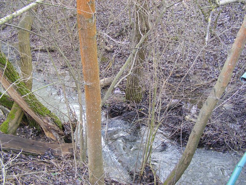 DSCF0142.JPG