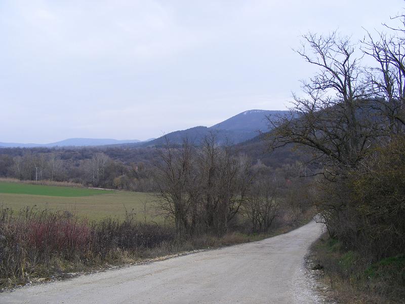 DSCF0146.JPG