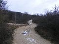 DSCF0119