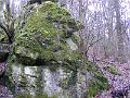 DSCF0127