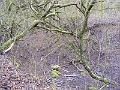 DSCF0131